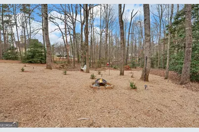 308 Parthenia Drive, Demorest, GA 30535 - Photo 39