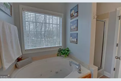 308 Parthenia Drive, Demorest, GA 30535 - Photo 19