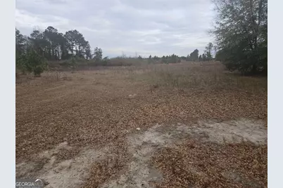 0 Snow Ridge Road #NA, Ashburn, GA 31714 - Photo 5