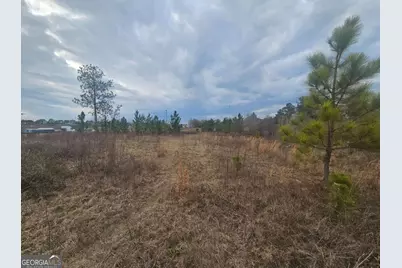 0 Snow Ridge Road #NA, Ashburn, GA 31714 - Photo 3