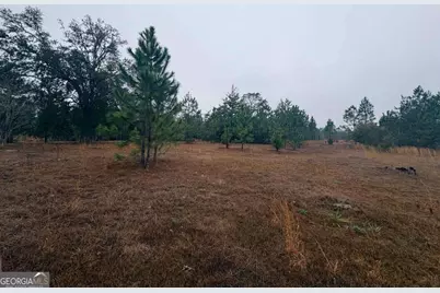 0 Hilltop Road, Baxley, GA 31513 - Photo 3