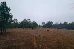 0 Hilltop Rd, Baxley, GA 31513 - Photo 1