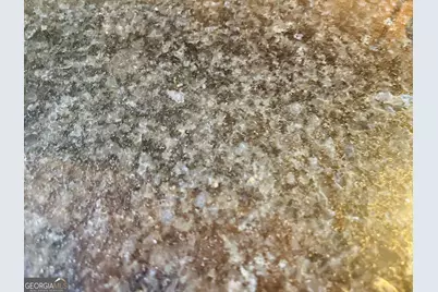 364 Grayson Trail, Hogansville, GA 30230 - Photo 9