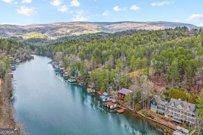 1233 Tame Turkey Road, Lakemont, GA 30552 - Photo 59