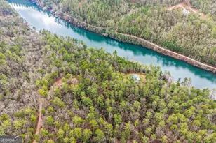 1233 Tame Turkey Rd, Lakemont, GA 30552 - Photo 55