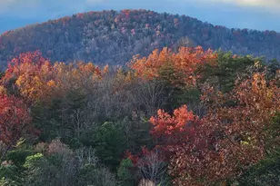 451 Pinecrest Rd, Sautee Nacoochee, GA 30571 - Photo 61