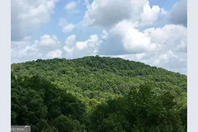 Lot 71 Chicory Drive W, Blairsville, GA 30512 - Photo 23