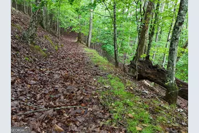 Lot 71 Chicory Drive W, Blairsville, GA 30512 - Photo 17