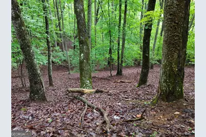 Lot 71 Chicory Drive W, Blairsville, GA 30512 - Photo 11