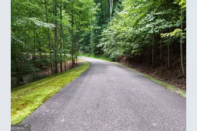 Lot 71 Chicory Drive W, Blairsville, GA 30512 - Photo 5