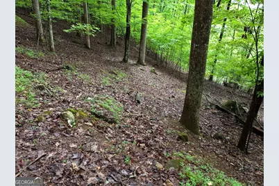 Lot 71 Chicory Drive W, Blairsville, GA 30512 - Photo 9