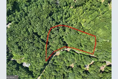 Lot 71 Chicory Drive W, Blairsville, GA 30512 - Photo 3