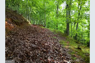 Lot 71 Chicory Drive W, Blairsville, GA 30512 - Photo 15