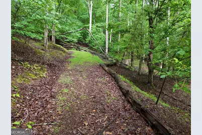 Lot 71 Chicory Drive W, Blairsville, GA 30512 - Photo 7