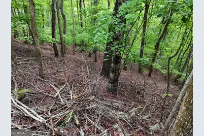 Lot 71 Chicory Drive W, Blairsville, GA 30512 - Photo 13