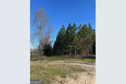 0 Highway 65, Camilla, GA 31730 - Photo 21