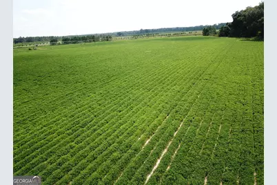 0 Highway 65, Camilla, GA 31730 - Photo 1