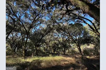 0 Highway 65, Camilla, GA 31730 - Photo 17