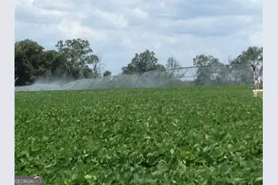 0 Highway 65, Camilla, GA 31730 - Photo 3