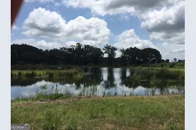 0 Highway 65, Camilla, GA 31730 - Photo 11