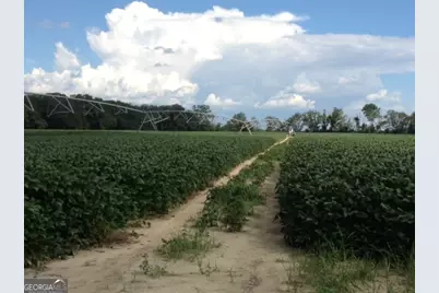 0 Highway 65, Camilla, GA 31730 - Photo 7