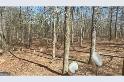 73 Friendship Church Road, Buchanan, GA 30113 - Photo 25