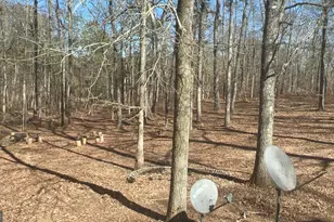 73 Friendship Church Rd, Buchanan, GA 30113 - Photo 25