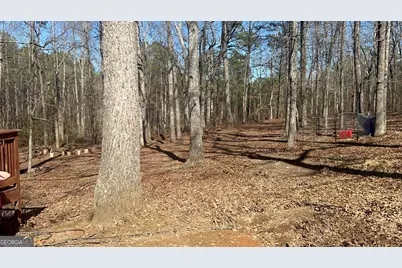 73 Friendship Church Road, Buchanan, GA 30113 - Photo 3