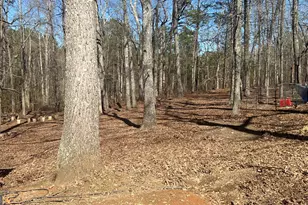 73 Friendship Church Rd, Buchanan, GA 30113 - Photo 3