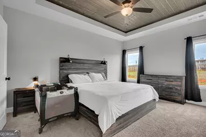 156 Neal Little Road, Carnesville, GA 30521 - Photo 35