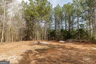 65 Lexington-Carlton Rd, Lexington, GA 30648 - Photo 59