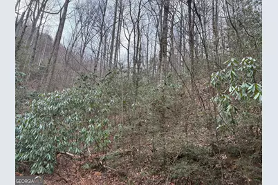 0 Colchester Lane, Mountain City, GA 30525 - Photo 9