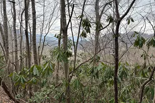 0 Colchester Ln, Mountain City, GA 30525 - Photo 1