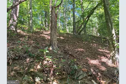 101 Cedar Road, East Ellijay, GA 30540 - Photo 3