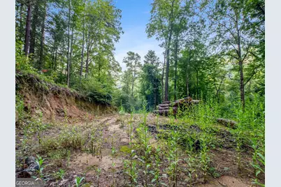 1063 Rickman Airfield Road, Clayton, GA 30525 - Photo 35