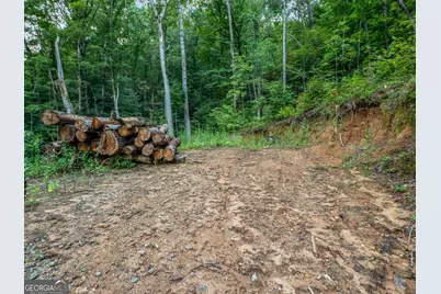 1063 Rickman Airfield Road, Clayton, GA 30525 - Photo 33