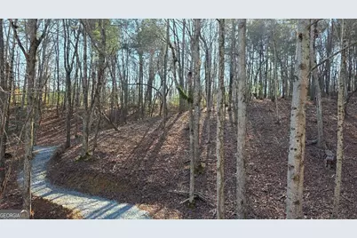 136 Red Oak Trail, East Ellijay, GA 30540 - Photo 3