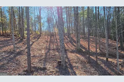 145R Red Oak Trail, East Ellijay, GA 30540 - Photo 5