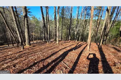 151 Rhondas Way, East Ellijay, GA 30540 - Photo 5