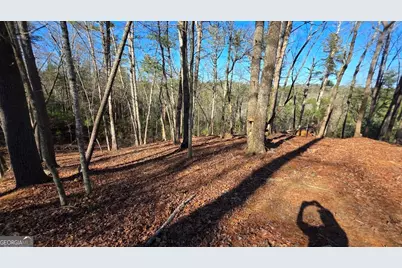 153 Rhondas Way, East Ellijay, GA 30540 - Photo 5