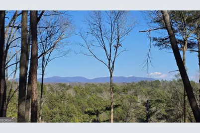 153 Rhondas Way, East Ellijay, GA 30540 - Photo 3