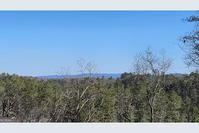 155 Rhondas Way, East Ellijay, GA 30540 - Photo 3