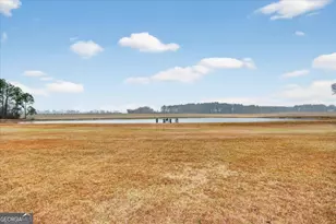 3900 Middle Ground Rd, Statesboro, GA 30461 - Photo 47