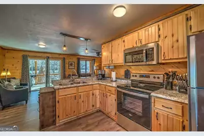 141 Mountain Rivers Rd, Mineral Bluff, GA 30559 - Photo 11