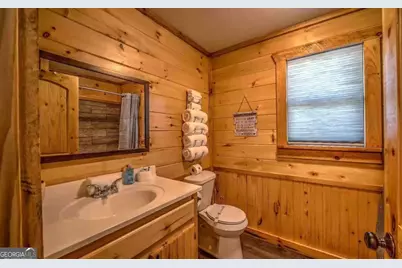 141 Mountain Rivers Rd, Mineral Bluff, GA 30559 - Photo 15