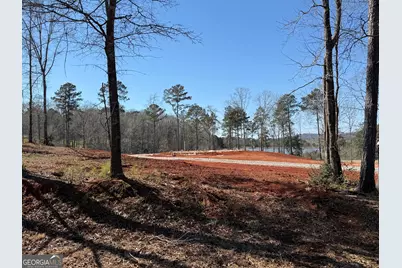 Lot 5 Hannahs Mill Road, Thomaston, GA 30286 - Photo 7