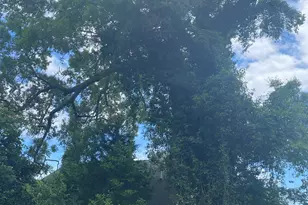 202 W Washington St, Bethel, NC 27812 - Photo 7