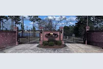 Lot 2 Thompsons Level Road, Lyons, GA 30436 - Photo 1