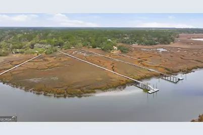 1629 S River Drive, Townsend, GA 31331 - Photo 49