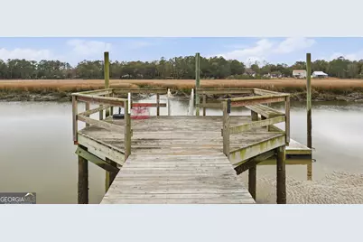 1629 S River Drive, Townsend, GA 31331 - Photo 5